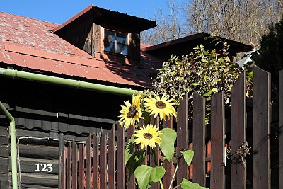 dscn0533-1.jpg