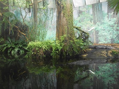 dscn0943-3.jpg