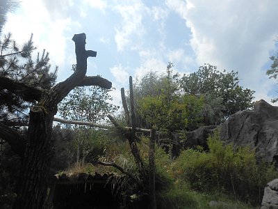 dscn1032-1.jpg