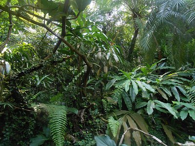 dscn1071.jpg