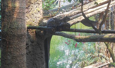 dscn1093-a.jpg