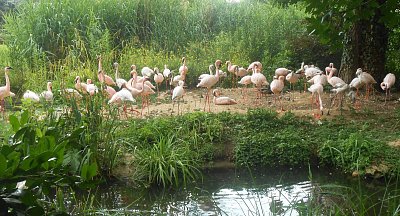 dscn1147-a.jpg