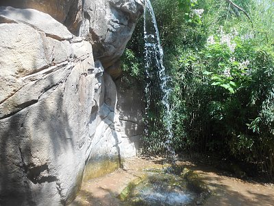 dscn1162.jpg