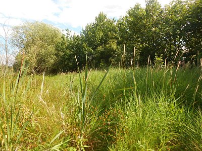 dscn1193.jpg