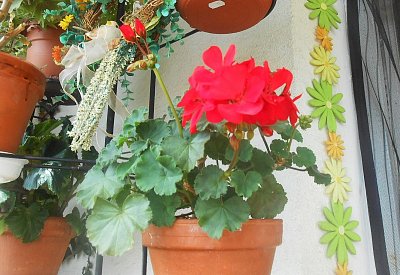 dscn1251-a.jpg