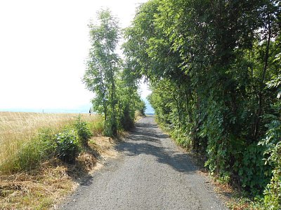 dscn1381-1.jpg