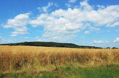 dscn1458-a.jpg