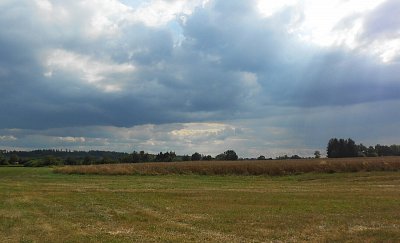 dscn1591-a.jpg