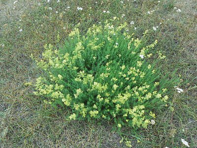 dscn1642-2.jpg