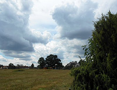 dscn1656-4.jpg