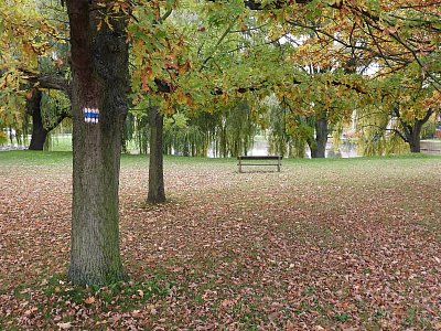 dscn1680-v-ledcicich.jpg
