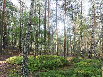 dscn2042-1.jpg