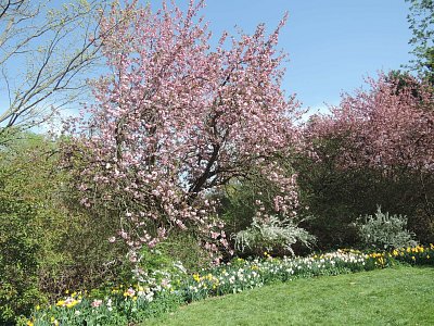 dscn2059.jpg