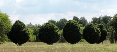 dscn2504-3.jpg
