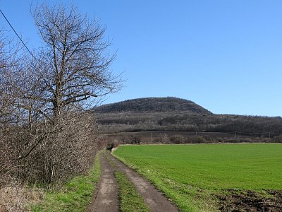 dscn2701-2.jpg