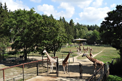 dscn2912.jpg