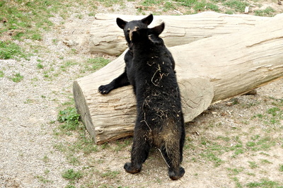 dscn2959.jpg