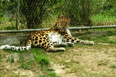 dscn3028-1.jpg
