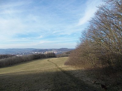 dscn3436-1.jpg