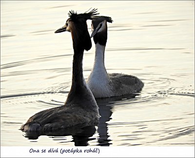 dscn3508-1.jpg
