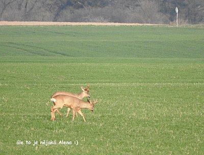 dscn3512-1.jpg