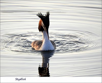 dscn3517-1.jpg
