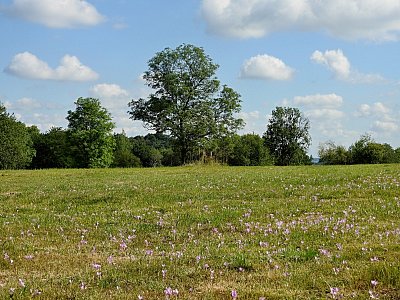 dscn3658.jpg