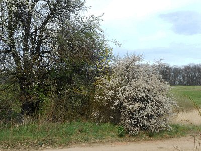 dscn3796-1.jpg