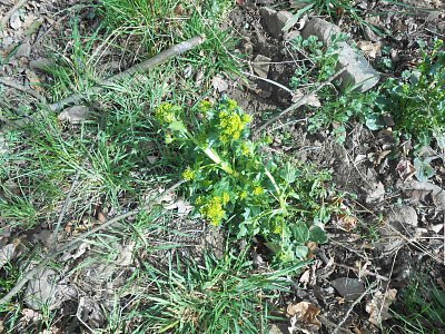 dscn3815.jpg