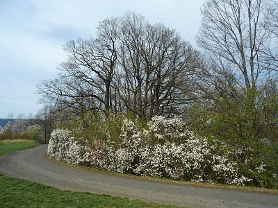dscn3837.jpg