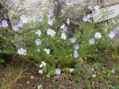 dscn3865.jpg