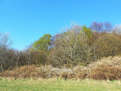 dscn3987-2.jpg