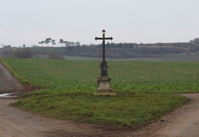 dscn4103-krizek.jpg