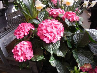 dscn4268-2.jpg