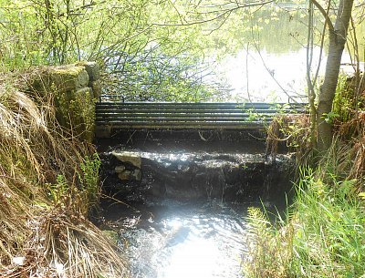 dscn4301-2.jpg