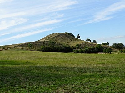 dscn4382-cicov.jpg