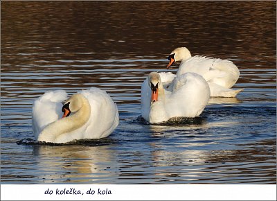 dscn4457-1.jpg