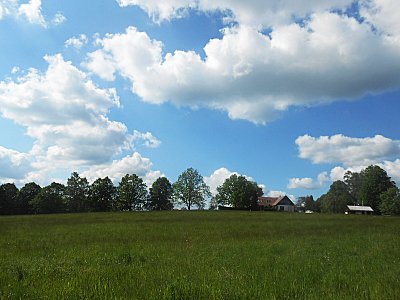 dscn4467-1.jpg