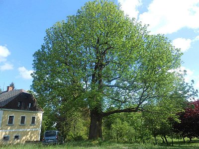 dscn4470.jpg