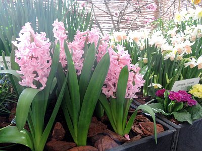 dscn4471.jpg