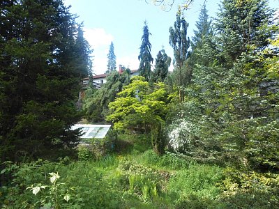 dscn4488.jpg