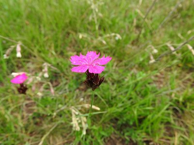 dscn4670.jpg
