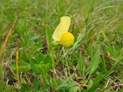 dscn4678.jpg