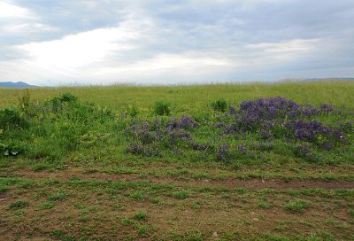 dscn4794-a.jpg