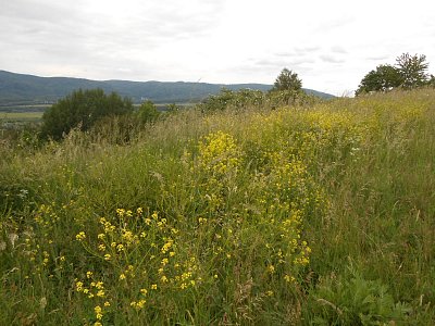 dscn4823-1.jpg