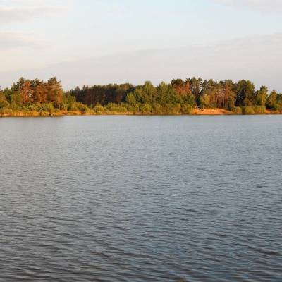 Veselská pískovna
