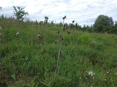 dscn5204-2.jpg