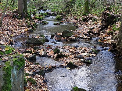 dscn5732-potok.jpg