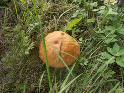 dscn5740.jpg
