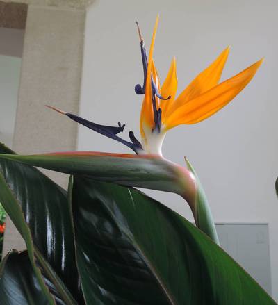 dscn5956.jpg